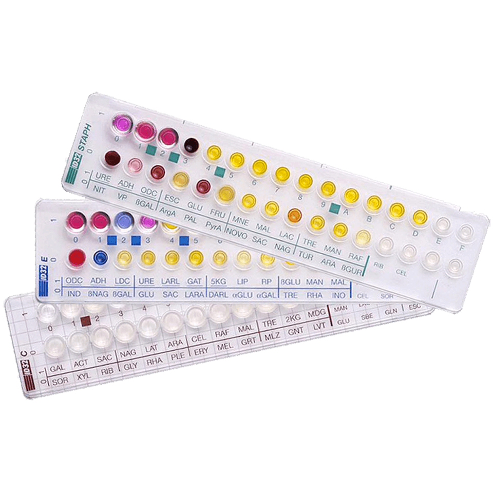 Api microbial identification biom rieux industrial microbiology